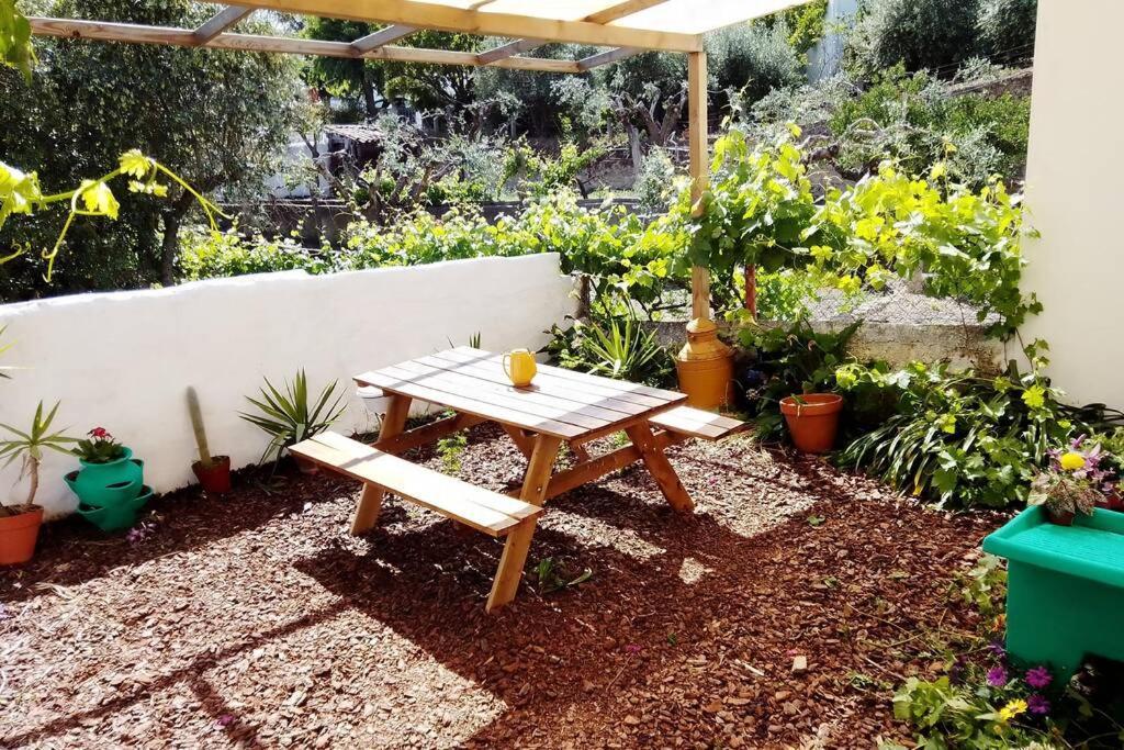 Petal House Villa Beira Bagian luar foto