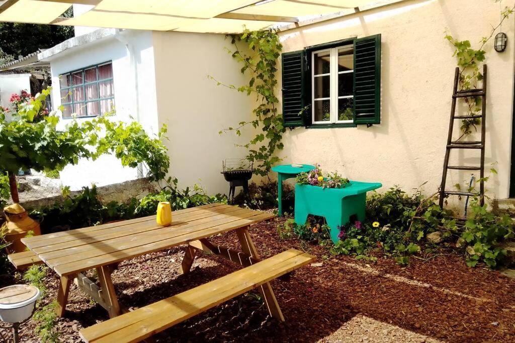 Petal House Villa Beira Bagian luar foto