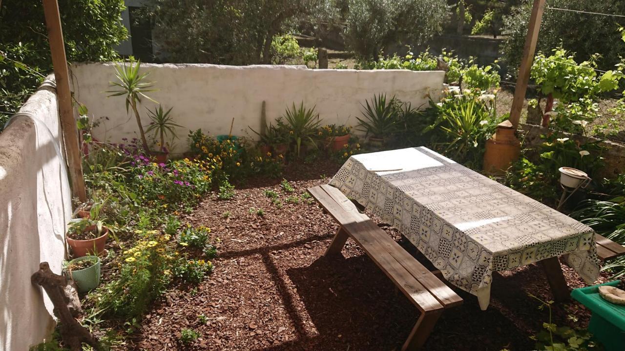 Petal House Villa Beira Bagian luar foto